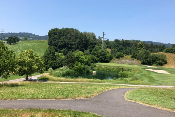 PHOTO-2019-06-28-16-34-08_1