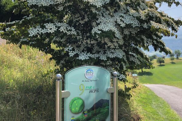 PHOTO-2019-06-28-16-34-40